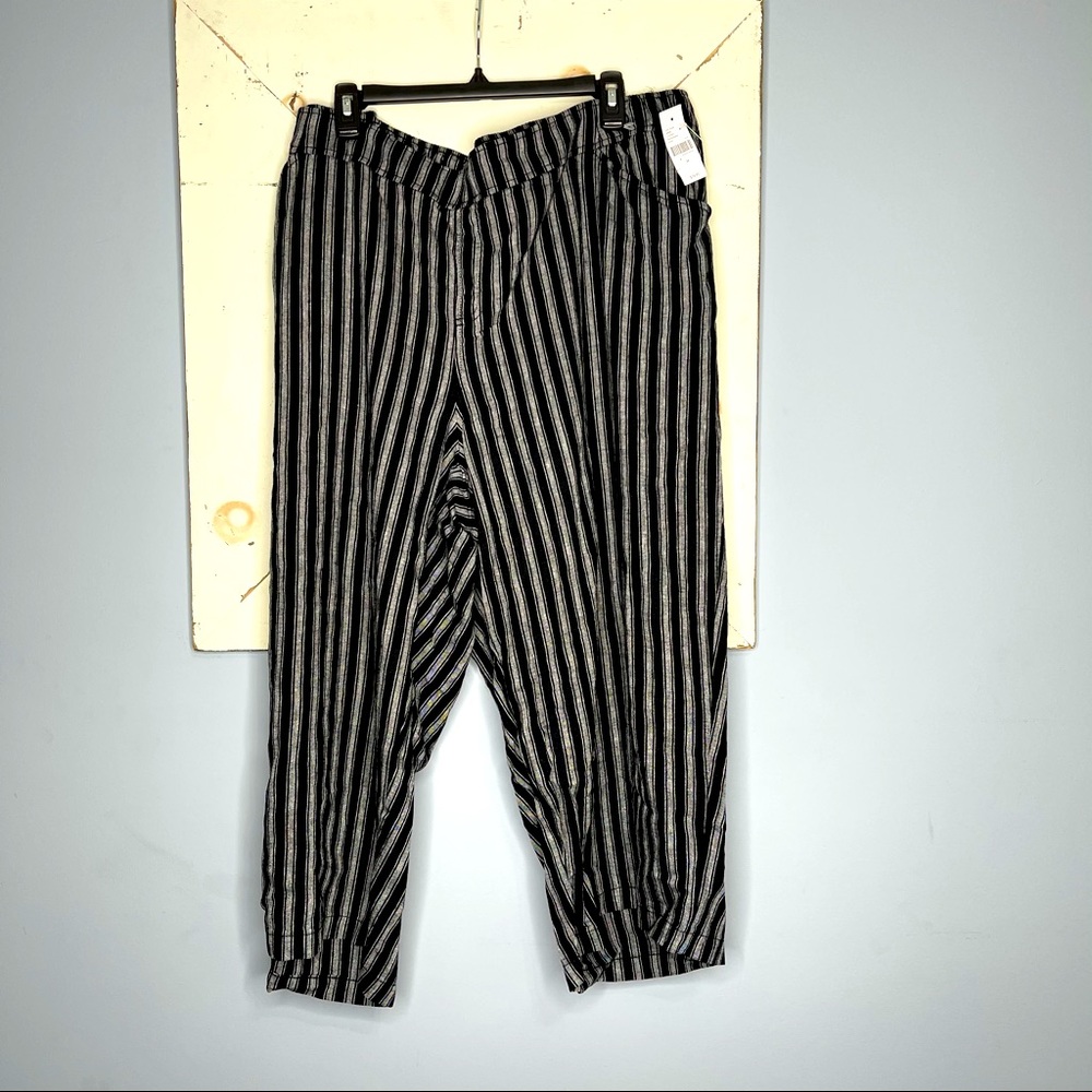 Lane Bryant Plus Pants